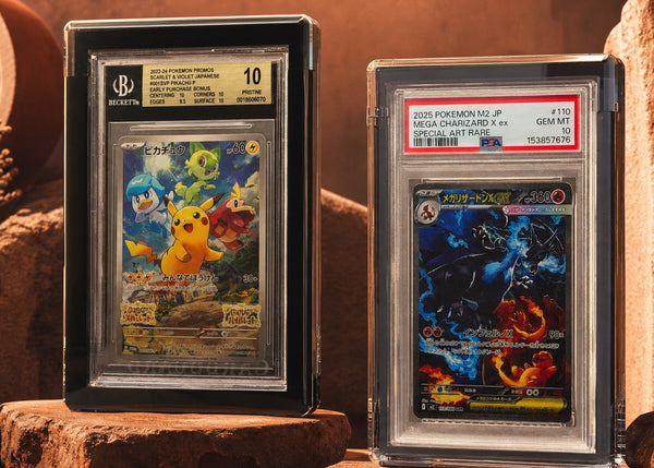 Black and Clear Card Guards holding BGS and PSA graded slabs