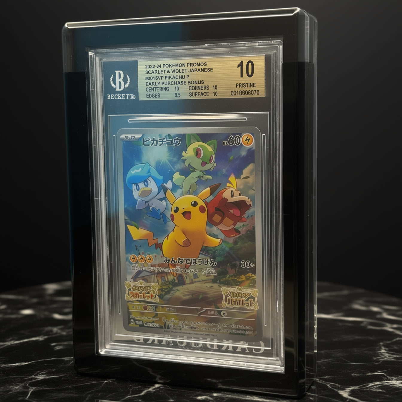 ⚫BLACK BGS Acrylic CARD GUARD