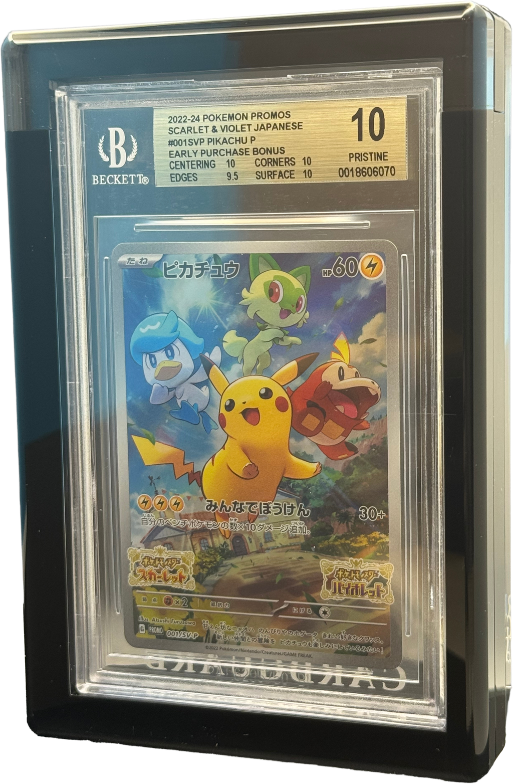 ⚫BLACK BGS Acrylic CARD GUARD