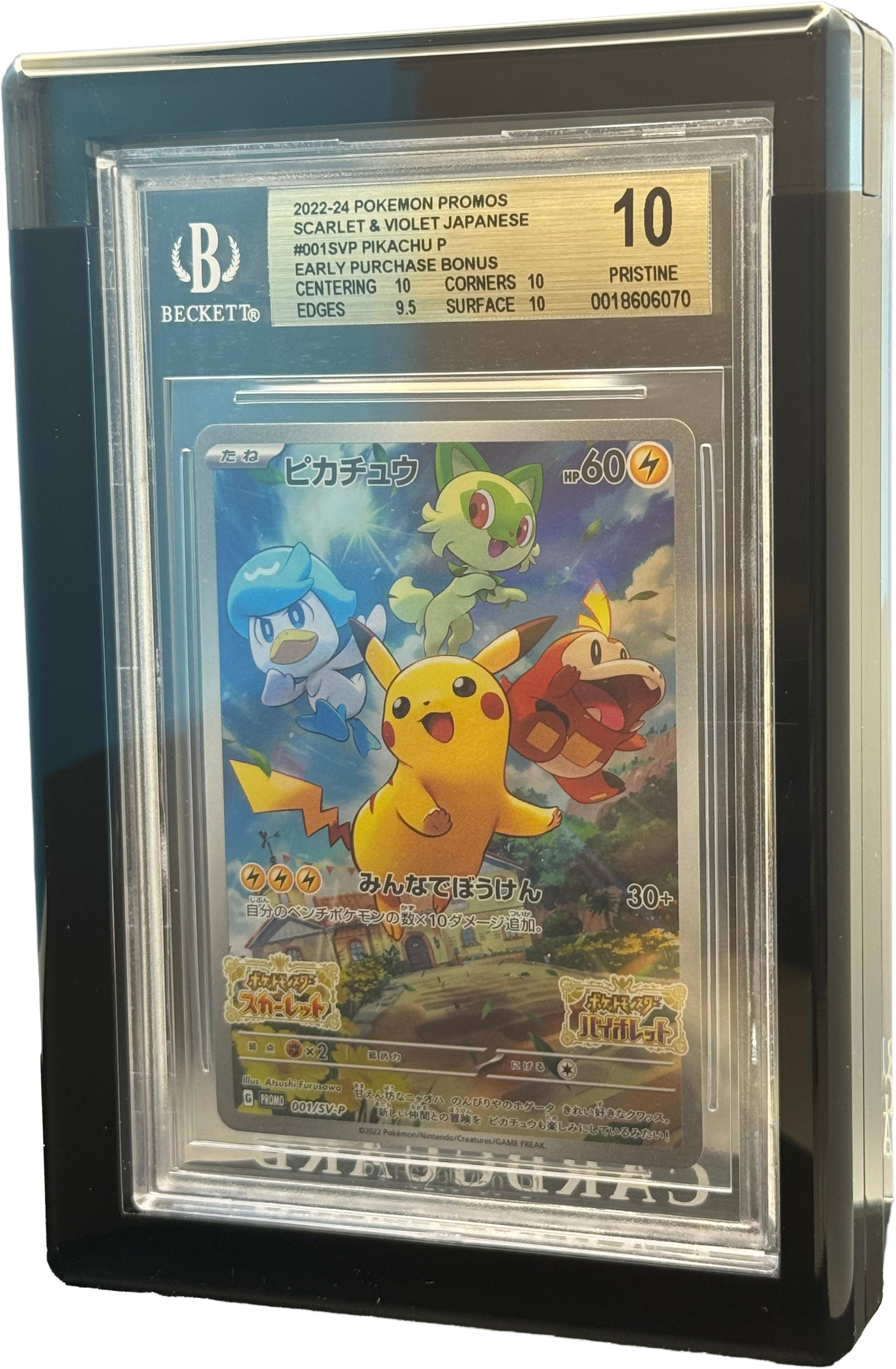 ⚫BLACK BGS Acrylic CARD GUARD