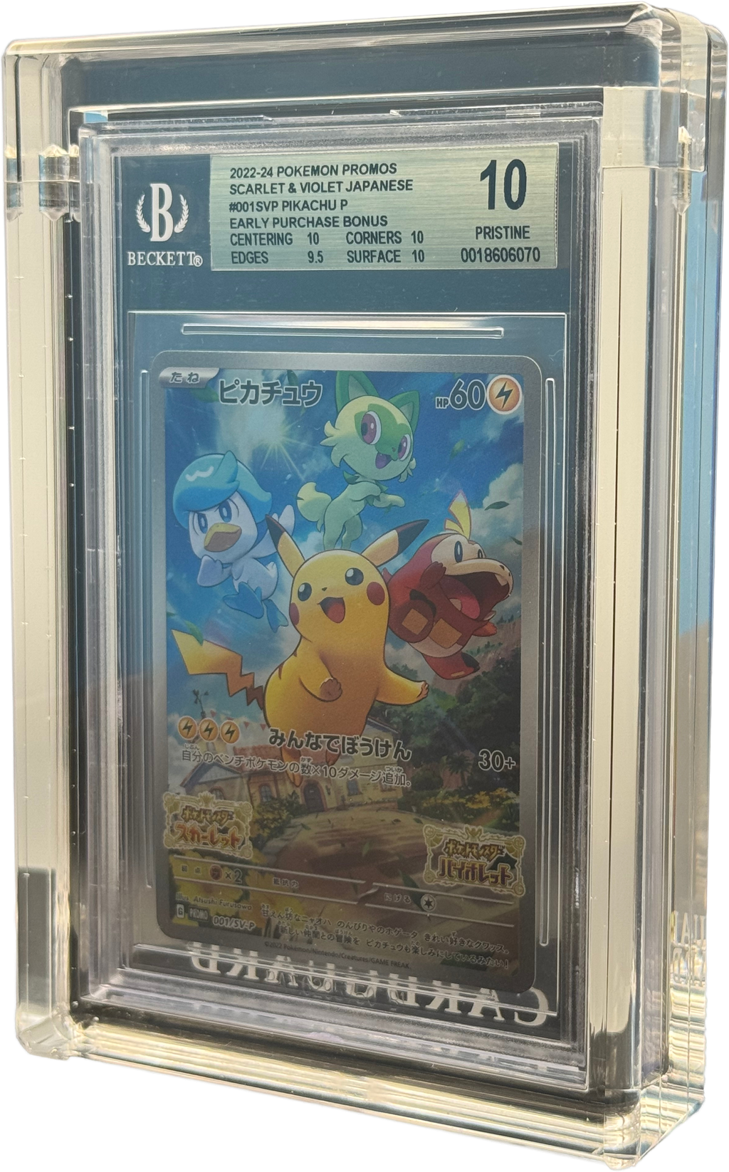 ✨CLEAR BGS Acrylic CARD GUARD