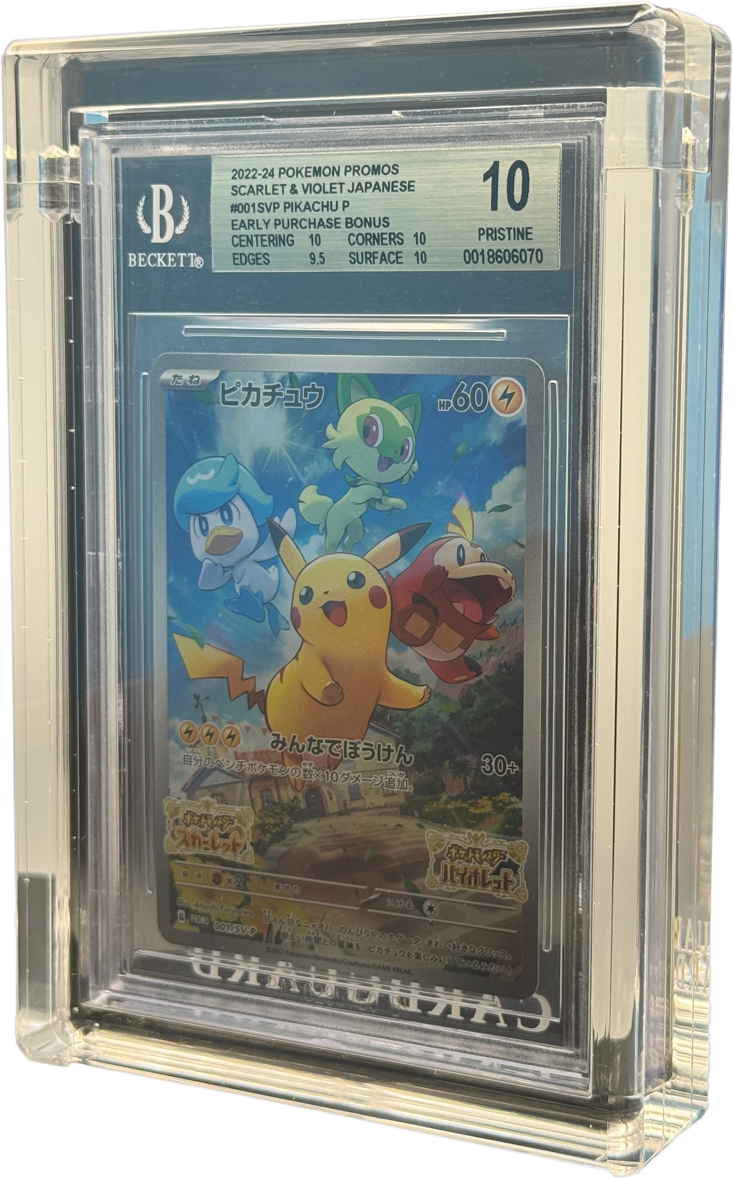 ✨CLEAR BGS Acrylic CARD GUARD