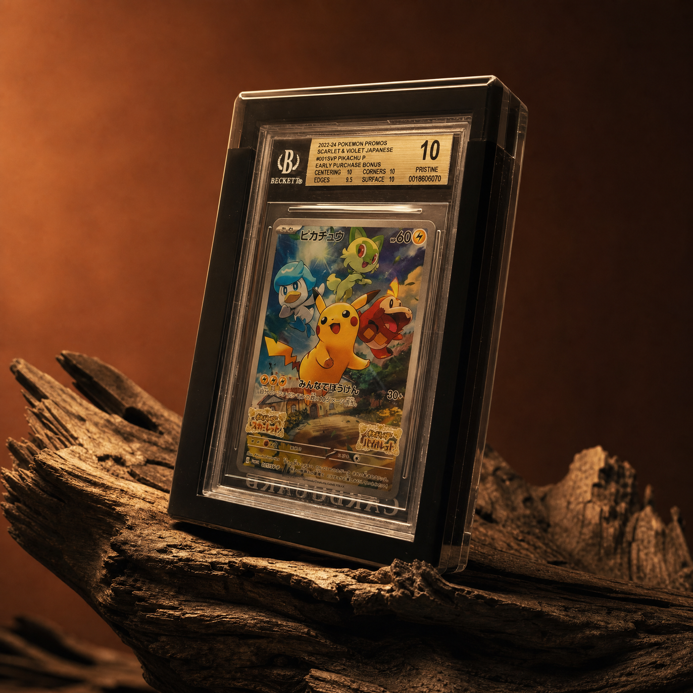 Black Card Guard holding a BGS graded Pikachu slab on driftwood