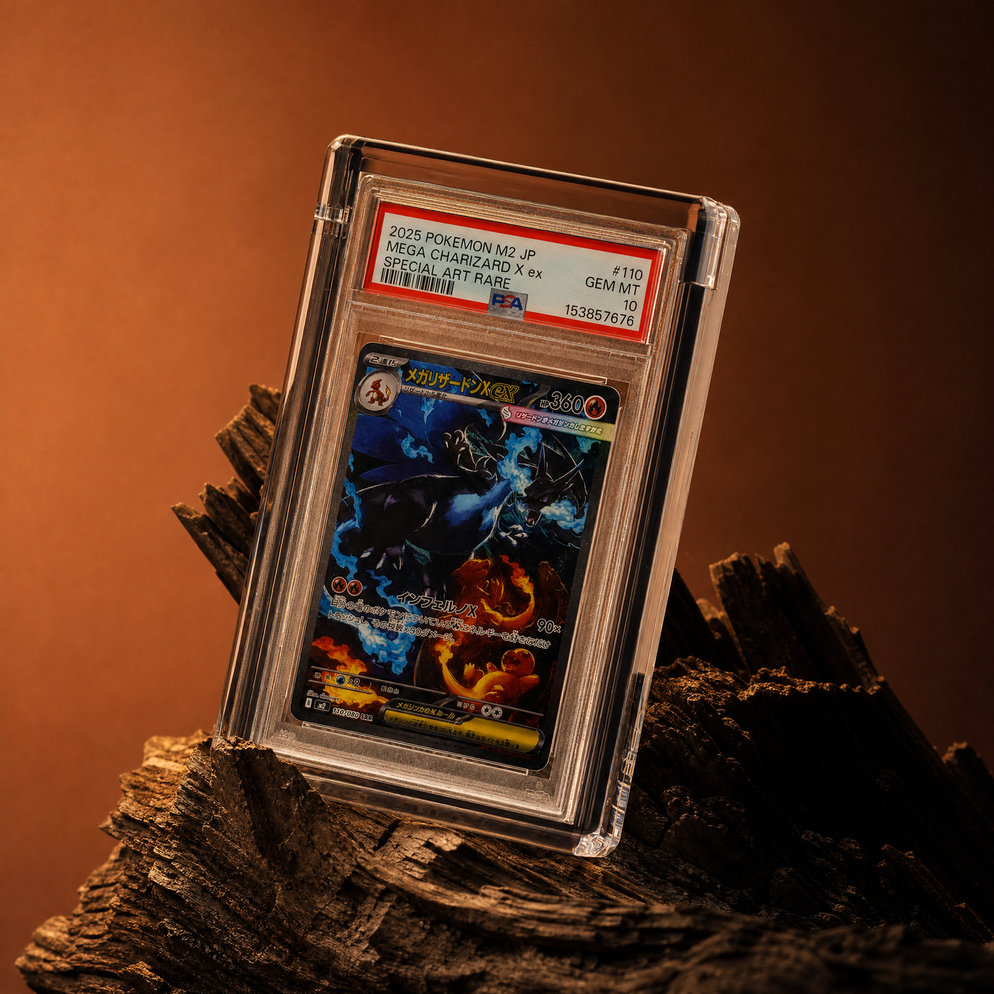 Clear Card Guard holding a PSA graded Charizard slab on driftwood